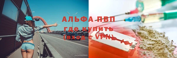 индика Корсаков