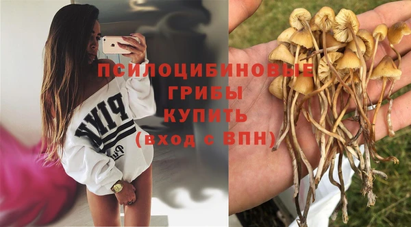 PSILOCYBIN Красноперекопск