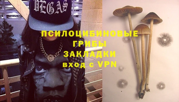 PSILOCYBIN Краснотурьинск