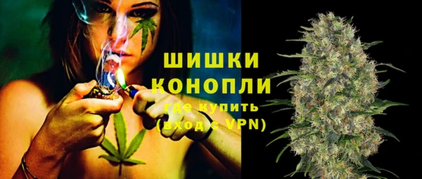 PSILOCYBIN Краснотурьинск