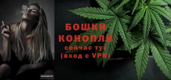 PSILOCYBIN Красноперекопск