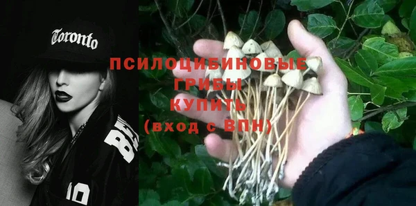 PSILOCYBIN Краснотурьинск