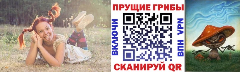 купить наркоту  MEGA ссылки  Галлюциногенные грибы MAGIC MUSHROOMS  Динская 